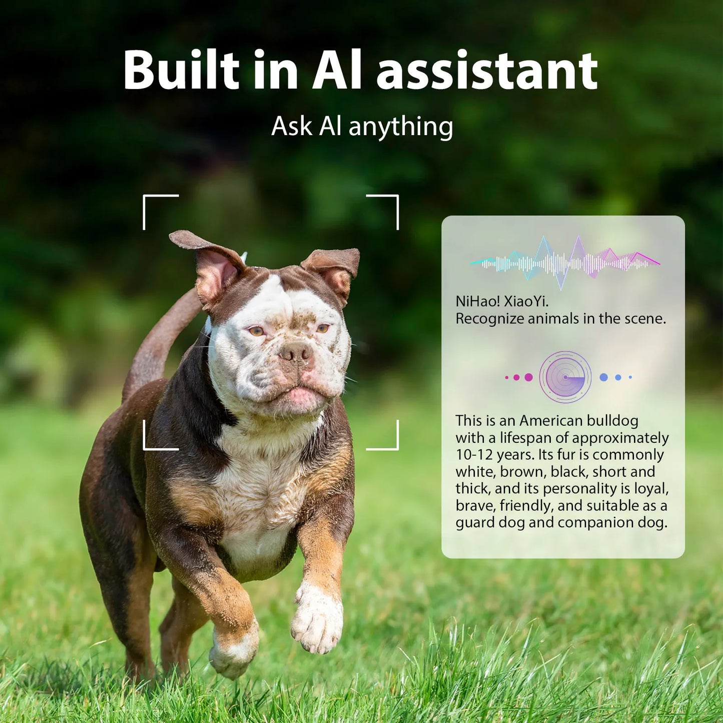 AI Glasses With Dual Cameras Video Wireless Long Battery Life S1