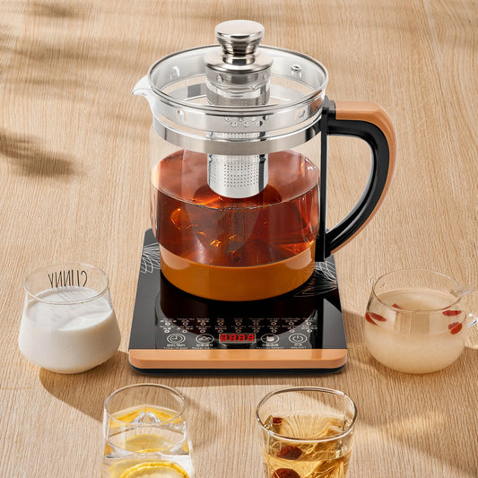 Electric Glass Tea Kettle With Keep Warm BPA Free Settings